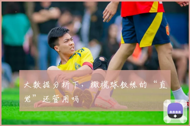 大数据分析下，橄榄球教练的“直觉”还管用吗