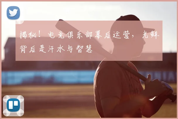 揭秘！电竞俱乐部幕后运营，光鲜背后是汗水与智慧