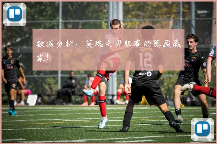 数据分析，英魂之刃联赛的隐藏赢家！
