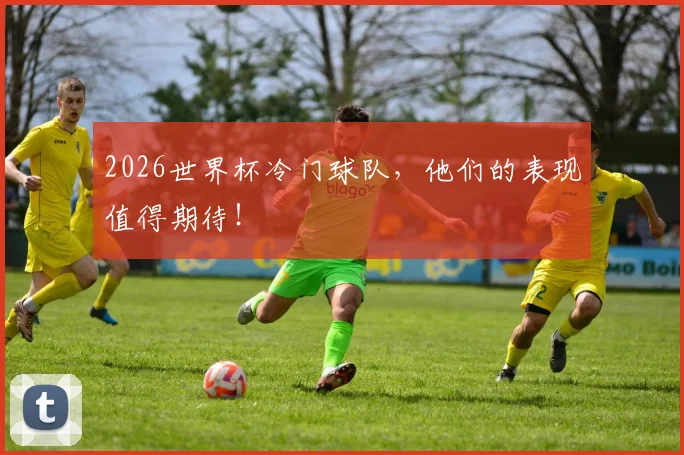 2026世界杯冷门球队，他们的表现值得期待！